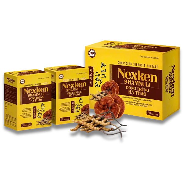 Thực phẩm bảo vệ sức khỏe Nexken Shamnuli