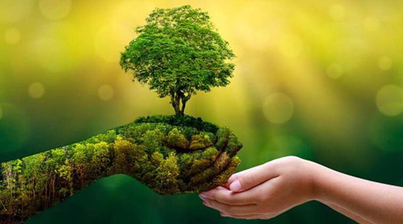Cam kết an toàn vì sức khỏe người dùng